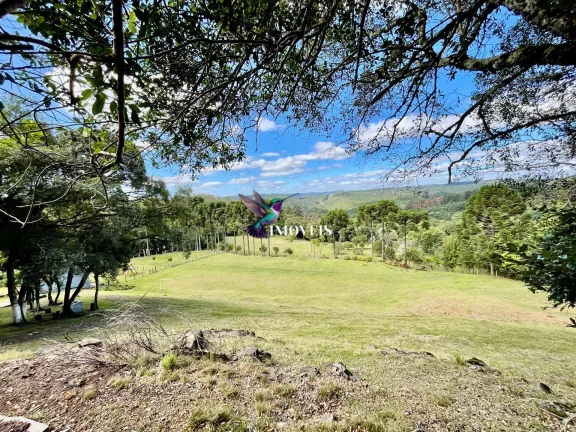 Imagem Chácara à venda no bairro Ana Rech - Caxias do Sul/RS