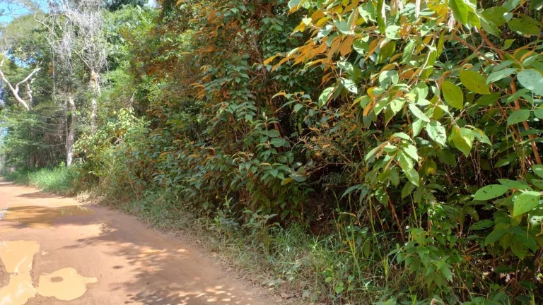 Imagem Terreno à venda no bairro Lagoa do Aruá em Mata de São João-BA, com 2025m² de área total.