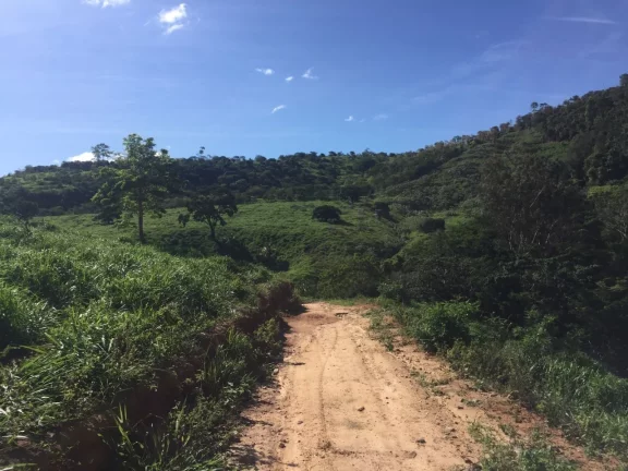 Imagem FAZENDA RURAL em COLATINA - ES, ÁREA RURAL DE COLATINA