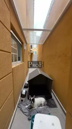 Imagem Sobrado com 3 Quartos à Venda, 220 m² em Jardim - São Caetano Do Sul