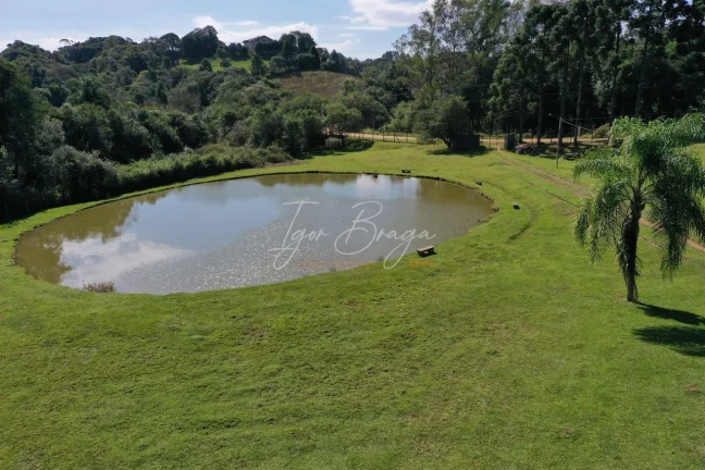 Imagem Chácara em Campo Largo com lago a venda