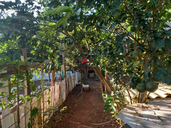 Imagem Terreno - Distrito Tavares - Confins