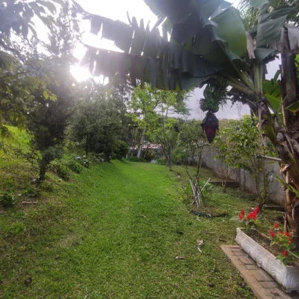 Imagem Terreno à venda em Joinville, bairro Vila Nova