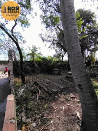 Imagem Terreno Padrão