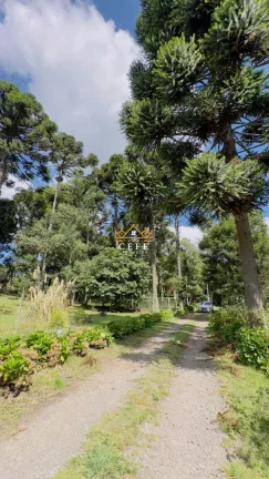 Imagem Chácara - Sítio com 3 Dormitorio(s) localizado(a) no bairro Jardim das Fontes em Canela / RIO GRANDE DO SUL Ref.:1561