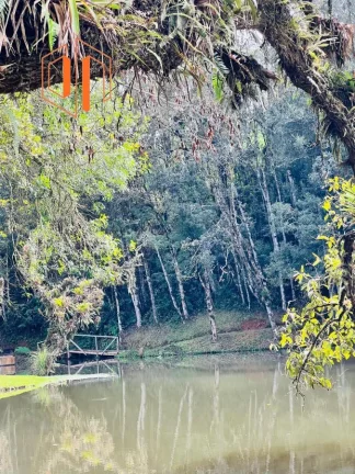 Imagem Chácara para Venda em São José dos Pinhais, Contenda