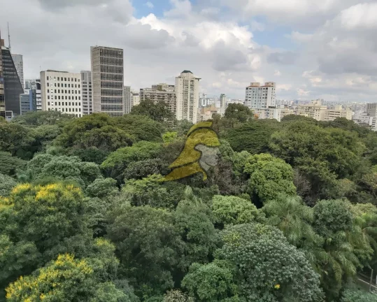 Imagem APARTAMENTO ALTO PADRÃO JARDIM PAULISTA FRENTE AO PQ. TRIANON 1 POR ANDAR 303,00 M ÁREA ÚTIL SALA 5 AMBIENTES SUÍTE MASTER 1 SALA DE JANTAR 3 VAGAS