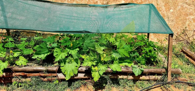 Imagem Chácara à Venda em Atibaia em Loteamento fechado