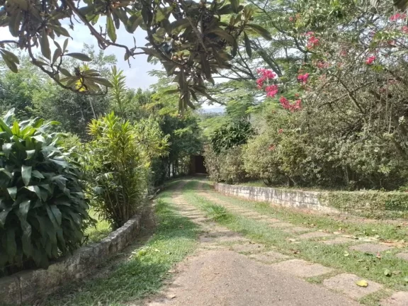 Imagem Chácara com 4 dormitórios à venda, 6024 m² por R$ 1.400.000,00 - Jardim Três Américas - Suzano/SP