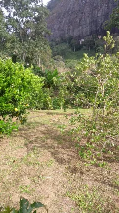 Imagem Vendo esta linda chácara em Nova Friburgo com 15.000m2.