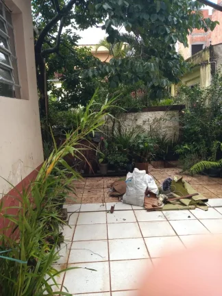 Imagem Casa Antiga com 250 metros e uma Edicila Exlente para Costrutor