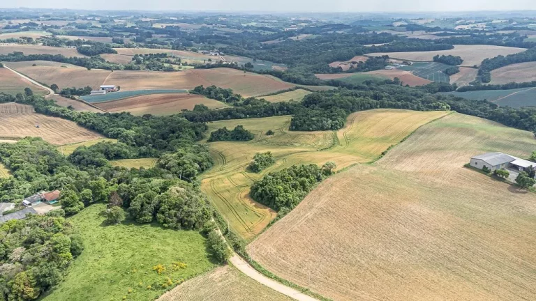 Imagem Chácara com 6 alqueires em Campo Magro
