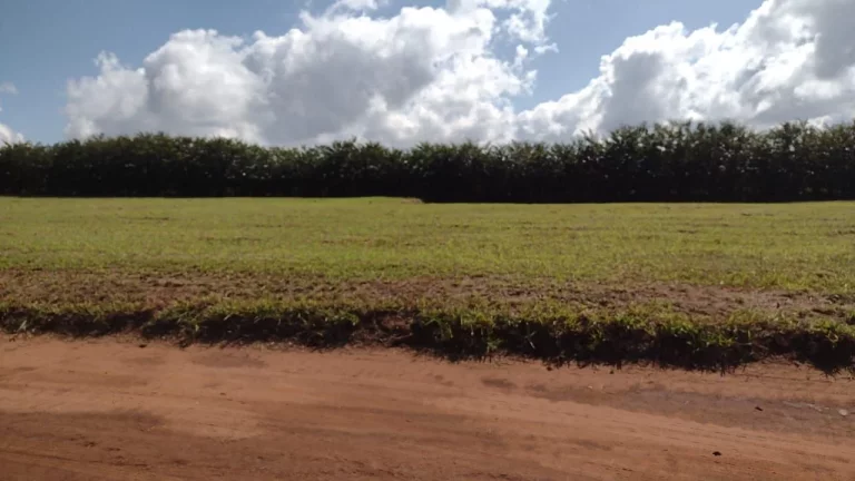Imagem Terreno à venda, 1000 m² por R$ 160.000,00 - Centro - Avaré/SP