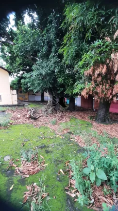 Imagem Lote à Venda no Bairro Glória Belo Horizonte MG