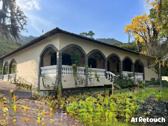 Imagem Vendo Fazenda Araruama município de Basilio com 350 cabeças de Gados