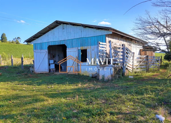 Imagem SITIO RURAL em CAPÃO ALTO - SC, Capão Alto