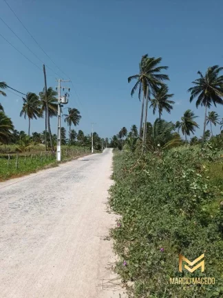 Imagem Terreno à venda, 18615 m² por R$ 3.600.000 - Ilha do Guajiru - Trairi/CE