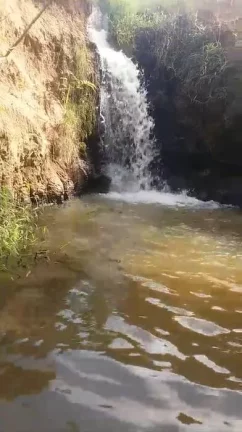 Imagem Sitio com água abundante - OPORTUNIDADE no Interior de São Paulo