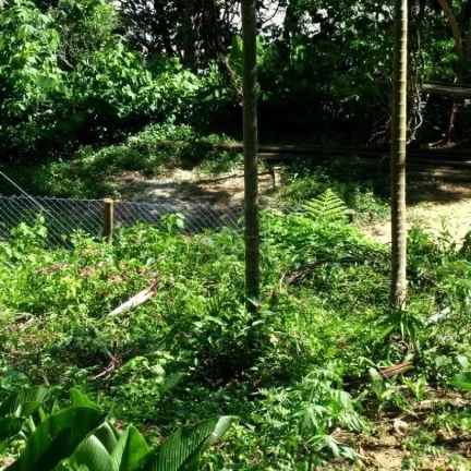 Imagem Terreno para Venda em Ubatuba / SP no bairro Enseada