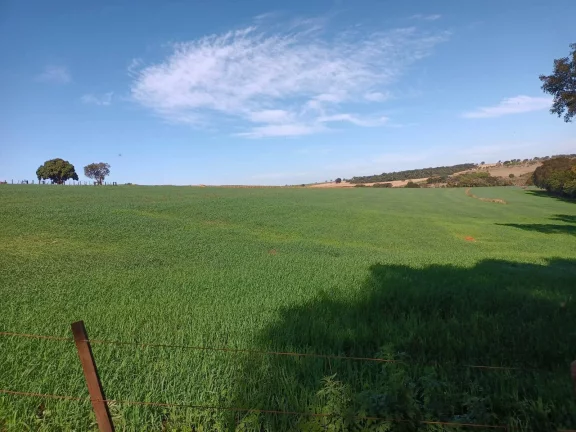 Imagem FAZENDA AVARÉ-SP