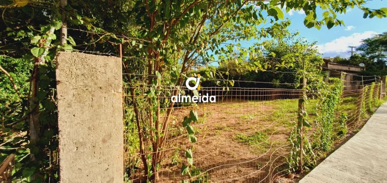 Imagem EXCELENTE TERRENO