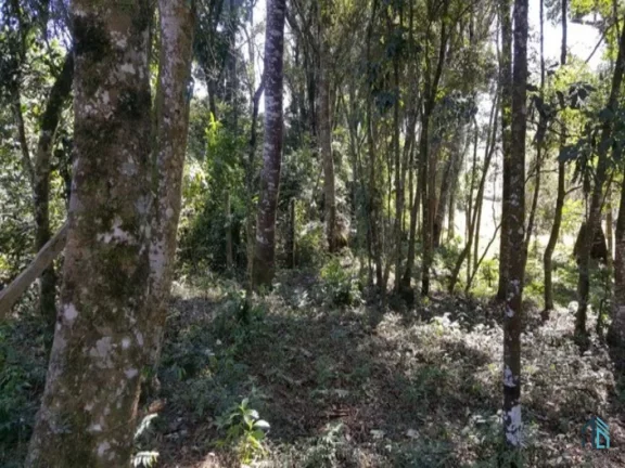 Imagem (PERMUTA) Barracão a venda com terreno de: 3.928,63, m², em Mandirituba -Pr