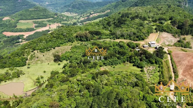 Sala Comercial à Venda, 20 m² em Linha Nova - Gramado
