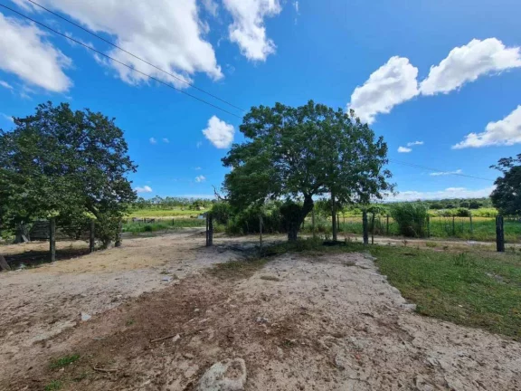 Imagem Fazenda à Venda, 251 m²