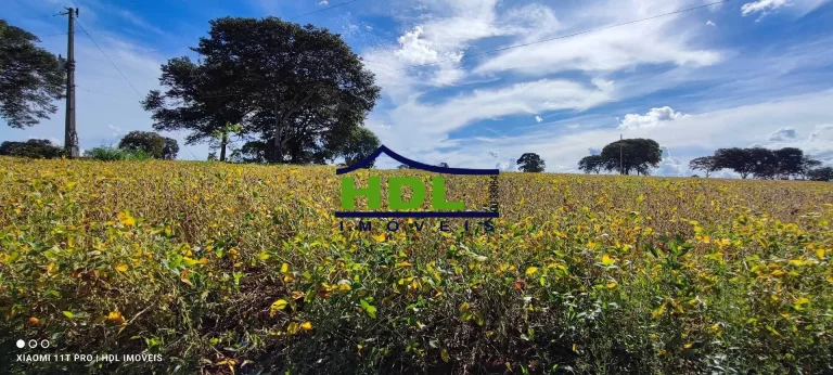 Imagem Chácara de 2 alqs com Água em Abundância e terra de Cultura