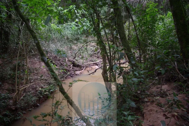 Imagem Sitio 8,23 alqueires ou 19,93 ha para compensação de Reserva, R$ 60 mil o alqueire - Jacuí - Minas Gerais.