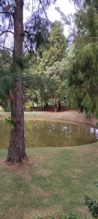 Imagem Sítio a venda Itapetininga SP