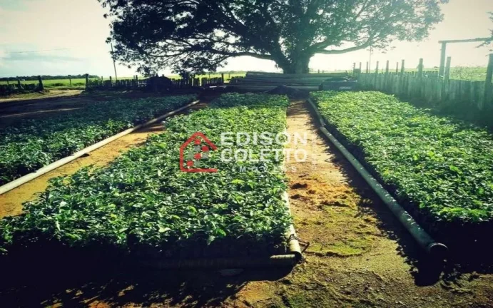 Imagem Fazenda/Sitio, Residencial/Comercial para Venda, Centro, Caraiva
