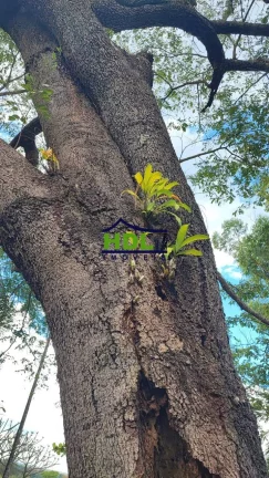 Imagem Chácara com 4 Hectares em Hidrolândia - GO
