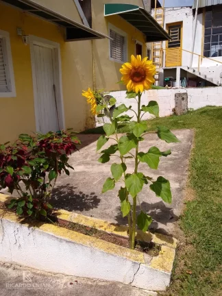 Imagem "O Paraíso em Atibaia: Sítio com 24.000m², Casa Principal, Salão de Festas, Piscina e Mais!"