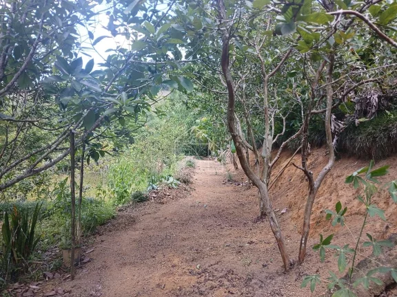 Imagem Sitio em Melgaço Domingos Martins