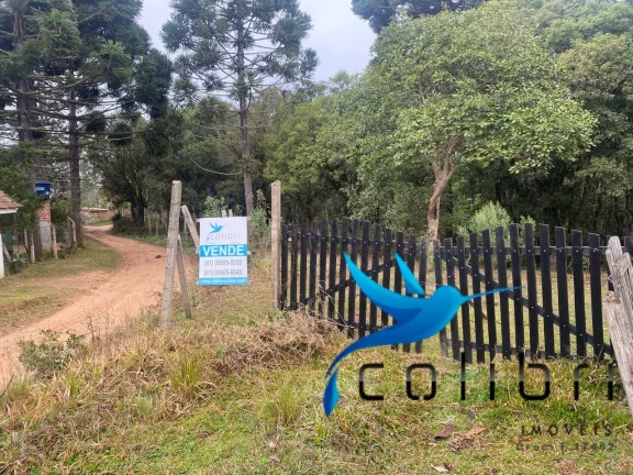 Imagem Chácara com 2 Quartos à Venda, 16.790 m² em Rio Da Várzea - Quitandinha