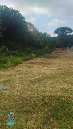 Imagem Oportunidade única. Terreno à venda, 2499 m² por R$ 1.272.000 - Santa Felicidade - Curitiba/PR
