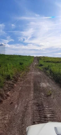 Imagem CASAL IMÓVEIS VENDE FAZENDA COM 10.500 HECTARES - MARABÁ - Pará