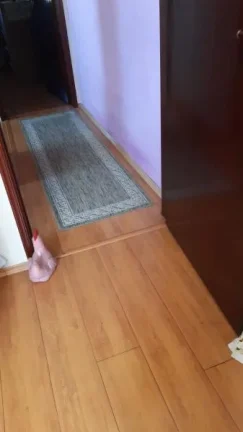 Imagem Casa para Venda em Santo André, Jardim Alvorada, 2 dormitórios, 2 banheiros, 2 vagas