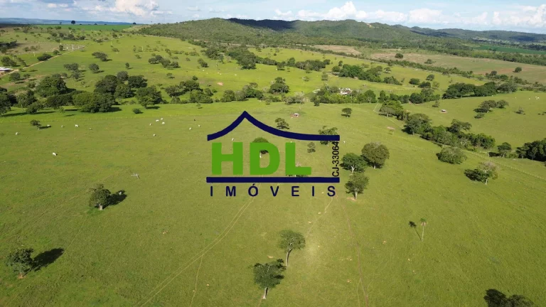 Imagem Fazenda de 1ª com 155 Hectares prox. à Goiânia.