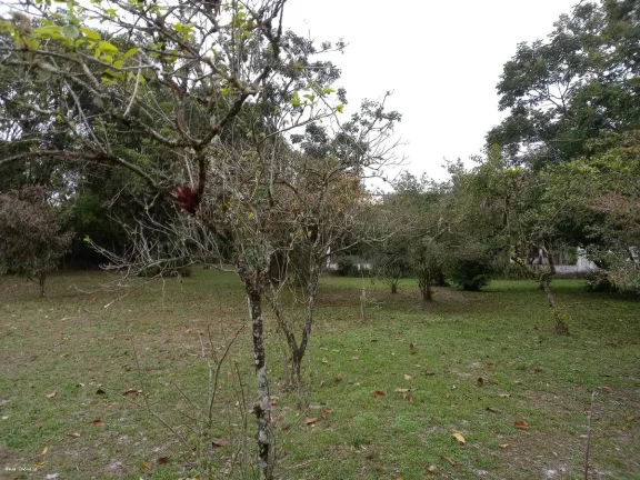 Imagem Chácara para Venda em Itanhaém, Jardim São Fernando, 3 dormitórios, 1 suíte, 2 banheiros, 10 vagas