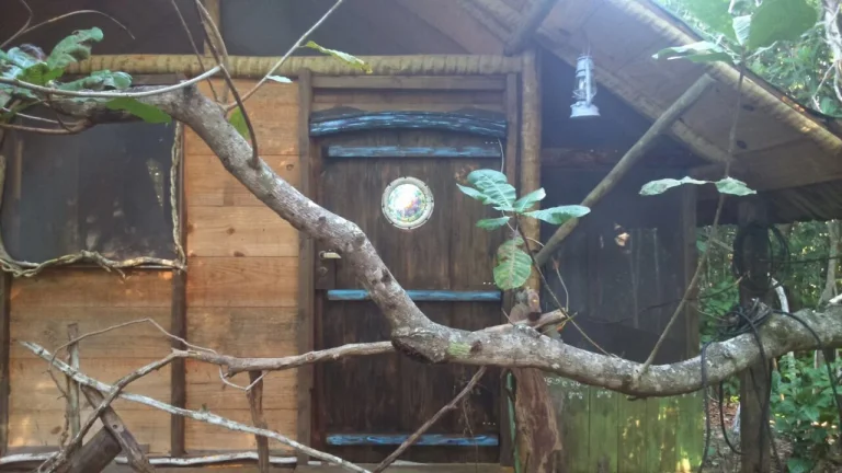 Imagem Terreno com cabana em madeira a venda na praia do forte, no bairro Lagoa Aruá área de 1.000 m2