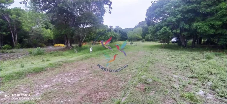 Imagem BELÍSSIMA ÁREA PARA CONDOMÍNIO EM SANTO ANDRÉ BAHIA