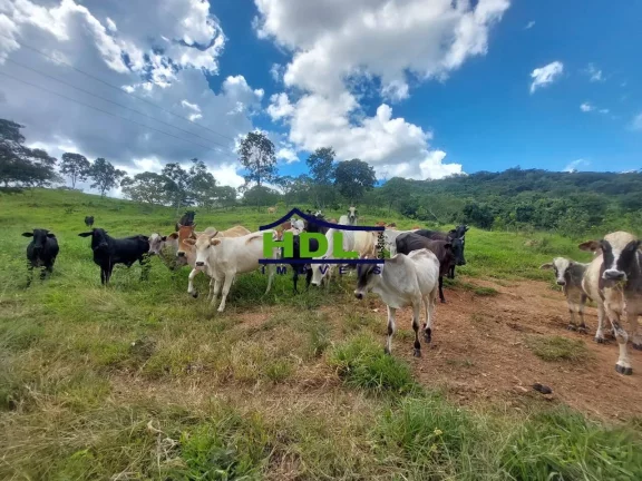 Imagem Fazenda com 68 Alqs em Marzagão GO