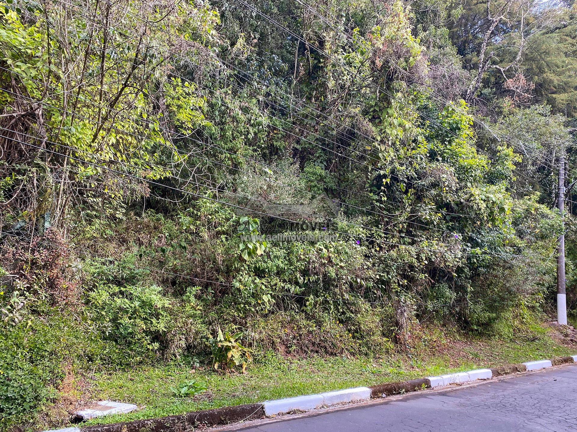 Imagem Terreno à venda em Campos do Jordão – Com vista para linda área verde