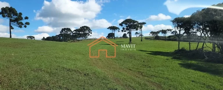 Imagem FAZENDA RURAL em CERRO NEGRO - SC, Interior