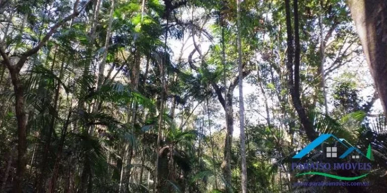 Imagem Espetacular Área Rural em Paraisópolis - Minas | 155 hectares