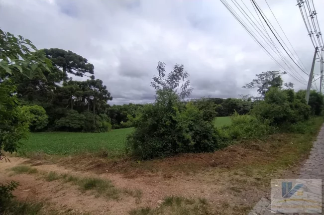 Imagem Terreno para Venda em São José dos Pinhais, Contenda, 1 dormitório