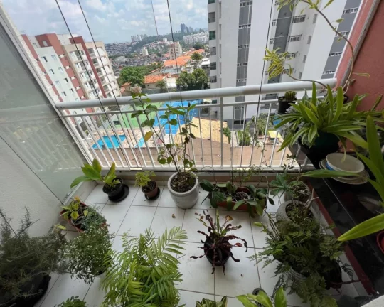 Imagem Apartamento Butantã 3 dorm , ótima localização