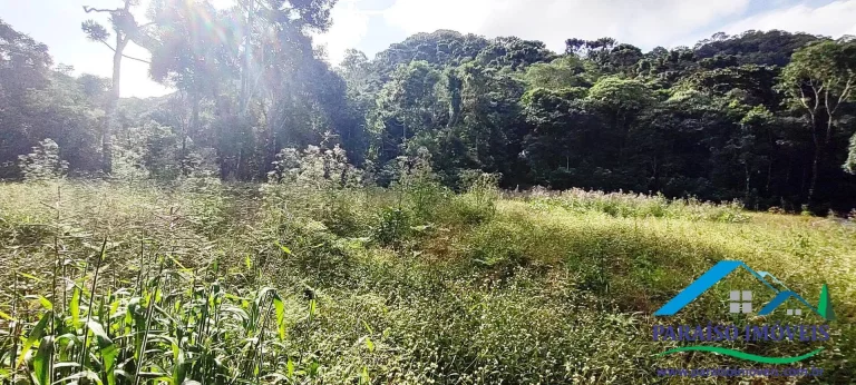 Imagem Terreno Exuberante no Bairro Campestre, Gonçalves – Serra da Mantiqueira
